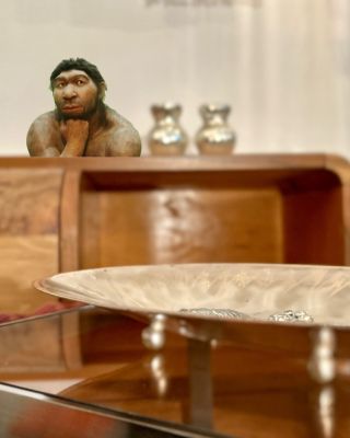 Na eshopu se zabydlel Homo sapiens neboli Člověk moudrý, milující vintage design z druhé ruky před nákupy neoriginálního...